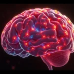 21 Interesting Facts About the Human Brain