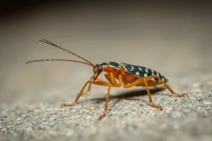 21 Interesting Facts About Firebrats