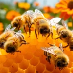 21 Interesting Facts About Honey Bees