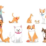 21 Interesting Facts About Pet Obesity