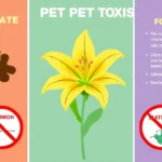 21 Interesting Facts About Common Pet Toxins (Chocolate, Lilies)