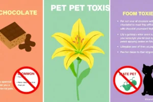 21 Interesting Facts About Common Pet Toxins (Chocolate, Lilies)