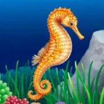 21 Interesting Facts About Seahorse Tail Prehensility