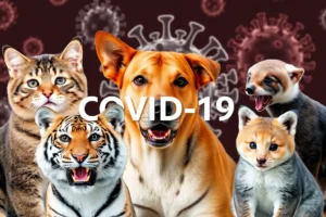 21 Interesting Facts About COVID-19 and Animals